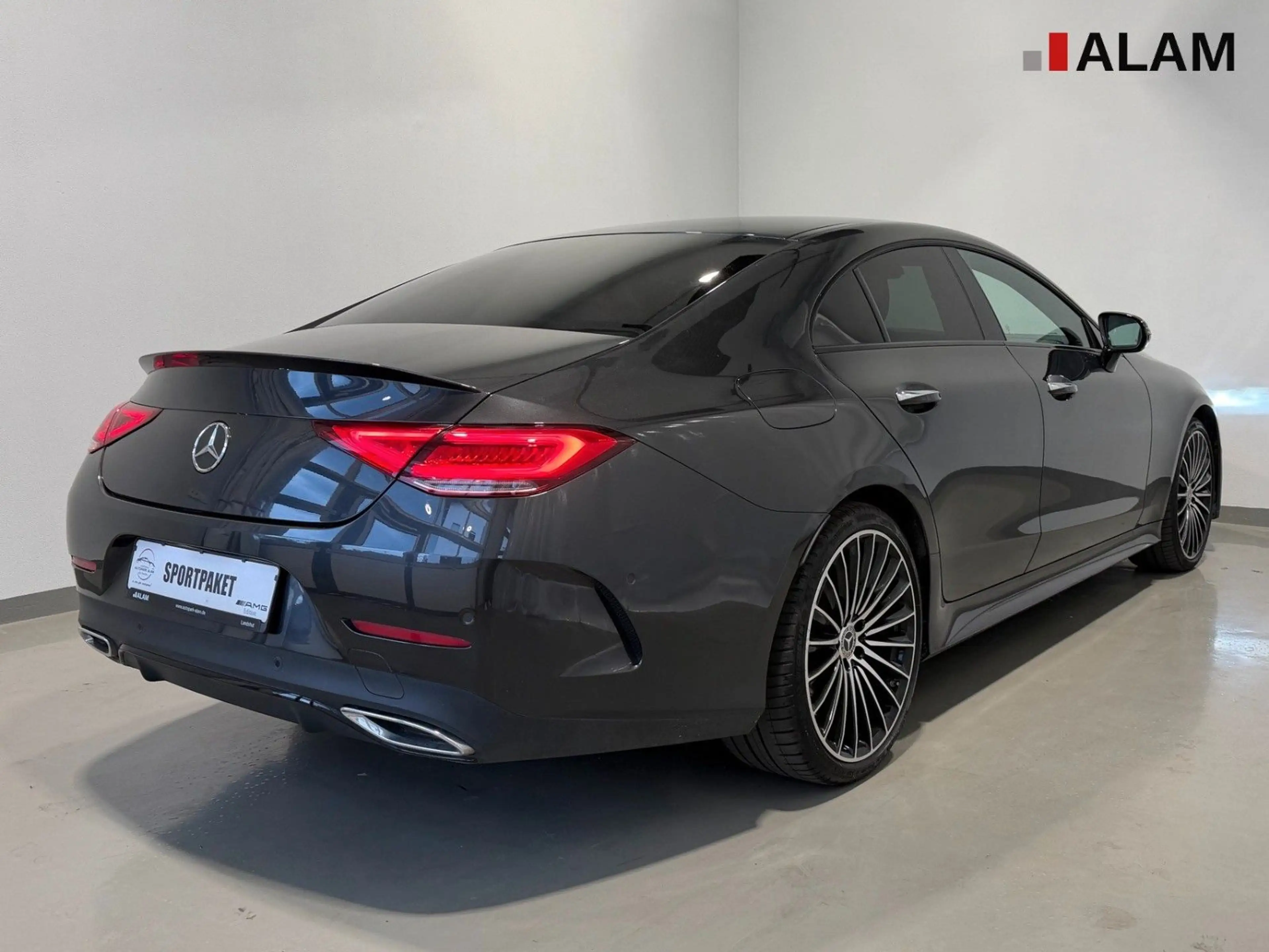 Mercedes-Benz CLS 300 d 4Matic AMG Line Lane Night Side ViCo — photo 4