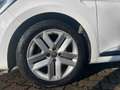 Renault Clio V 1.0 Zen *Klimaanlage*Allwetterreifen* Blanc - thumbnail 5