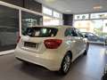 Mercedes-Benz A 160 cdi Sport neopatentati oK - thumbnail 4