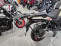 Benelli TRK 702 Morbidelli 1002 Bianco - thumbnail 6
