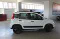 Fiat Panda 0.9 TwinAir Turbo S&S 4x4 Wild Bianco - thumbnail 6