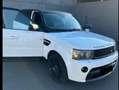 Land Rover Range Rover Sport 3.0 SdV6 SE Wit - thumbnail 14