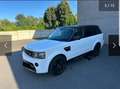 Land Rover Range Rover Sport 3.0 SdV6 SE Білий - thumbnail 4