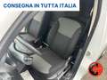 Renault Kangoo Z.E. 44 KW ALLESTITO-CRUISE-BATTERIE DI PROPRETA'- Bílá - thumbnail 12