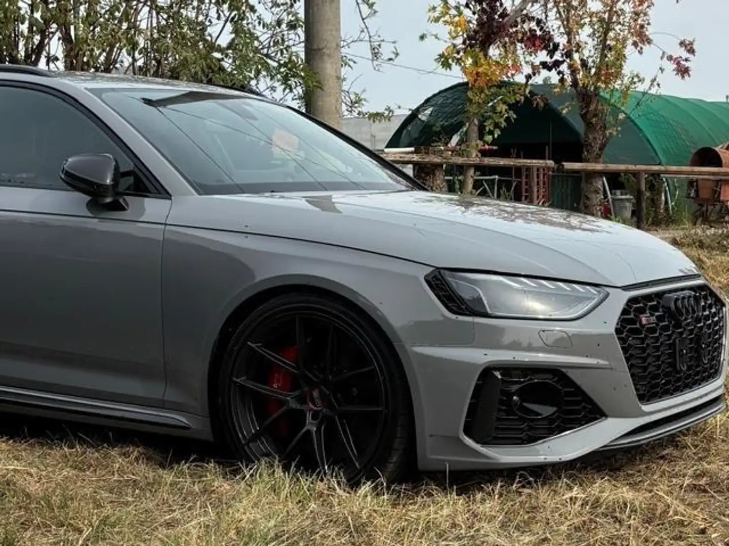 Audi RS4 A4 V 2019 Avant 2.9 tfsi quattro 450cv tiptronic Gris - 2