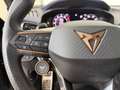 CUPRA Terramar 1.5 eTSI 110 DSG Negro - thumbnail 10