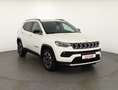 Jeep Compass 1.3 MultiAir 80th Anniversary LED Kamera Wit - thumbnail 7
