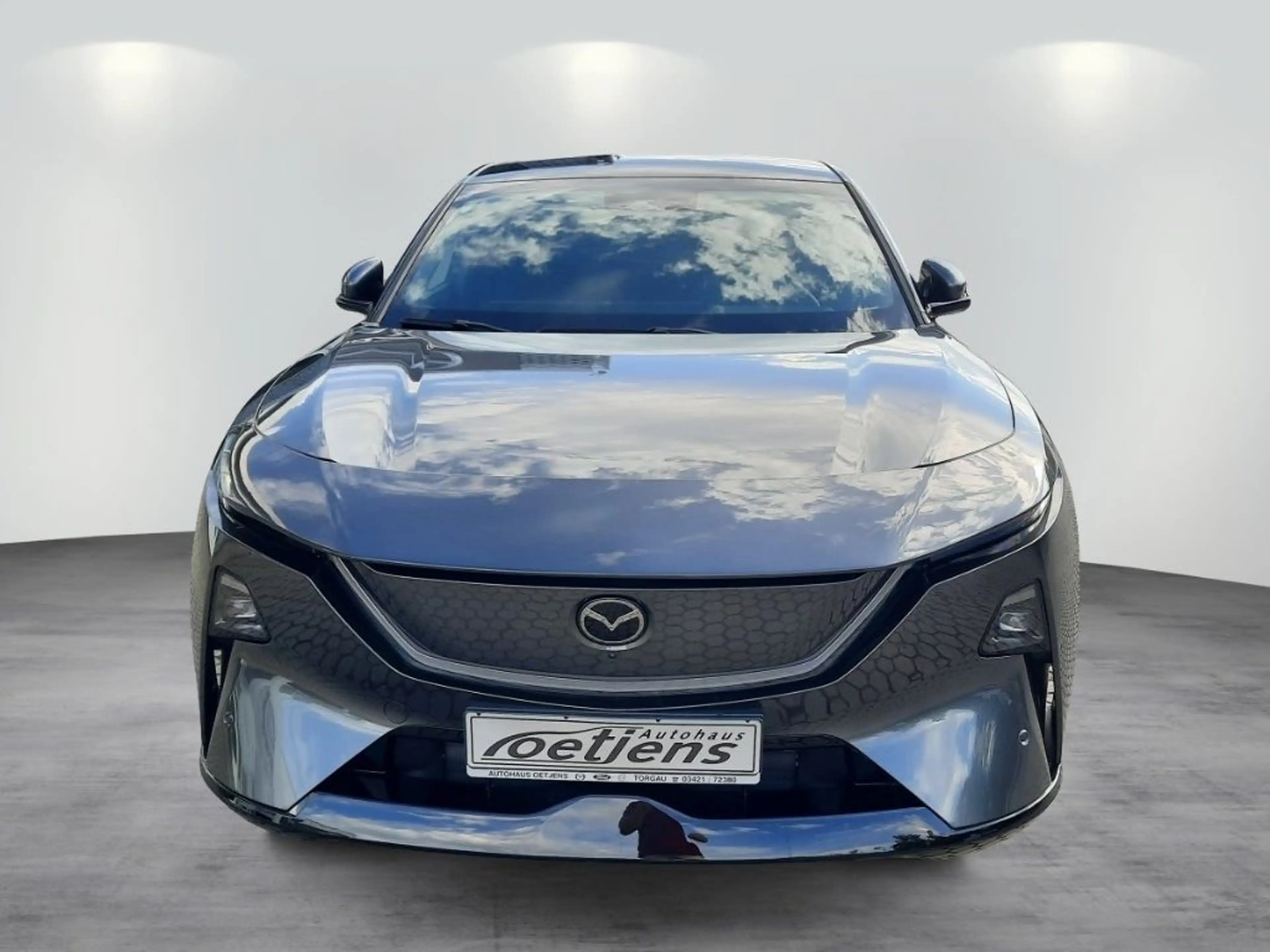 Mazda CX-6e CX6E EV 258ps Takumi 21'' LED PANO NAVI HU — photo 3