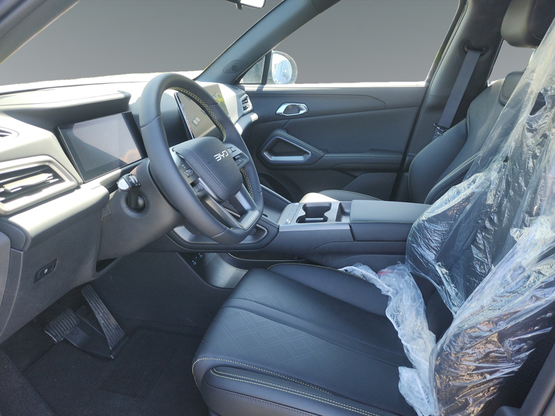 BYD Atto 2 DM-i Boost — photo 8