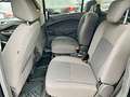 Ford Grand C-Max 1,0 EcoBoost Titanium 7-Sitzer Schwarz - thumbnail 21