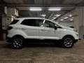 Ford EcoSport 1.0 ecoboost Titanium s&s 125cv my19 Bianco - thumbnail 7