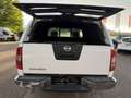 Nissan Navara KingCab Business 4X4*MwSt.*Pickerl NEU*Klima* Weiß - thumbnail 20
