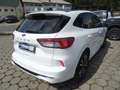 Ford Kuga 1.5 Ecoboost ST-Line+LED+ACC+Panorama Bianco - thumbnail 5