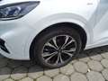 Ford Kuga 1.5 Ecoboost ST-Line+LED+ACC+Panorama Bianco - thumbnail 3