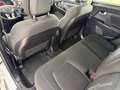 Kia Sportage Attract 2WD Weiß - thumbnail 12