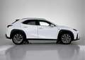 Lexus UX F-Sport Design | Bi-Tone Metallic | Elektrische bijela - thumbnail 14
