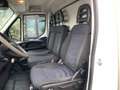 Iveco Sonstige 40C18 Meubelbak & Laadklep 1000 kg Automaat Cruise Weiß - thumbnail 11