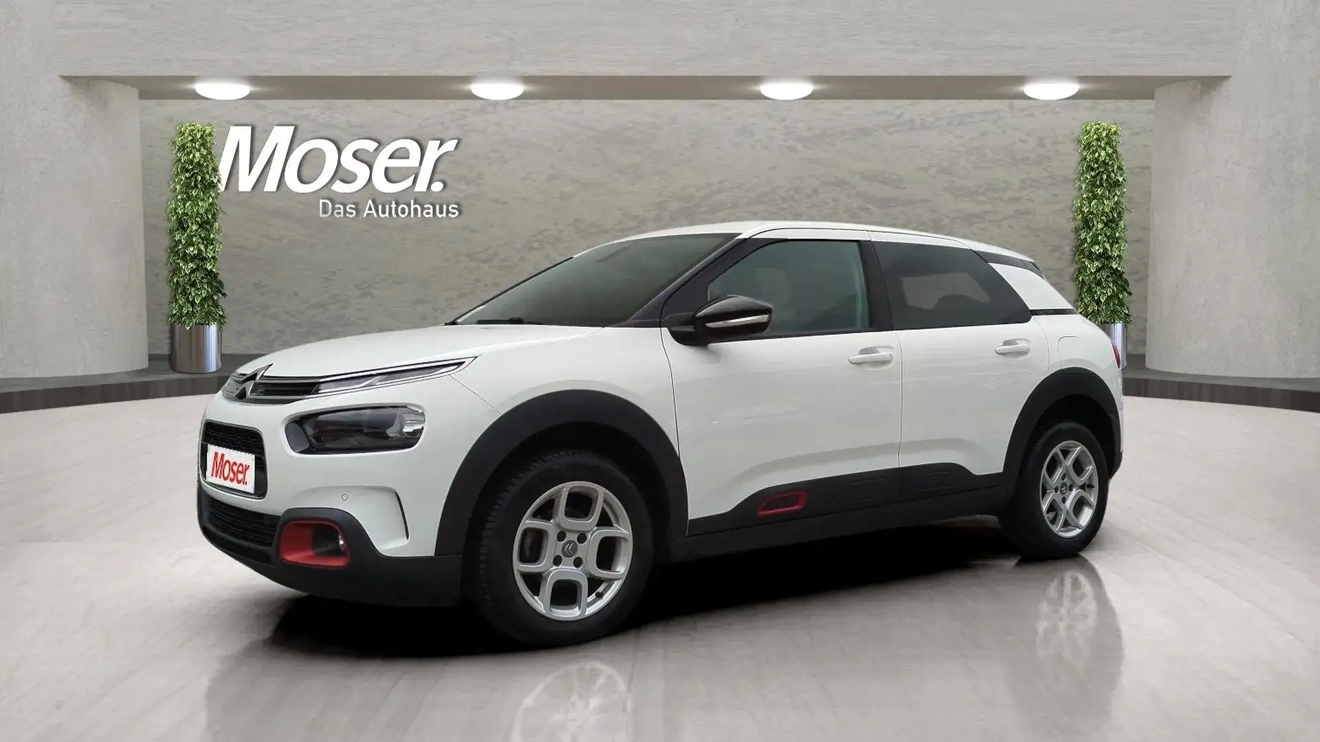 Citroen C4 Cactus Cactus 1.5 BlueHDI Shine 102CV Белый - 1