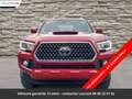 Toyota Tacoma SR5 Tout compris hors homologation 4500e Rouge - thumbnail 20