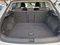 Volkswagen T-Roc 1.0 tsi life 110cv Bianco - thumbnail 9