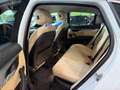 BMW X6 F16 xdrive30d 258cv 115.000 KM Bellissima ! Weiß - thumbnail 14