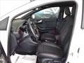 Ford Puma 1.0 ecoboost h ST-Line X s&s 125cv auto Wit - thumbnail 14