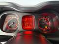 Fiat Panda 1.3 MJT 95 CV S&S 4x4 Bianco - thumbnail 9