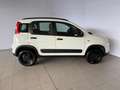 Fiat Panda 1.3 MJT 95 CV S&S 4x4 Bianco - thumbnail 8