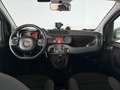Fiat Panda 1.3 MJT 95 CV S&S 4x4 Bianco - thumbnail 10