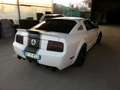 Shelby GT SHELBY GT500 - thumbnail 5