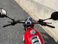 Fantic Caballero 500 Scrambler Roşu - thumbnail 5