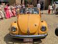 Volkswagen Coccinelle CABRIOLET - thumbnail 3