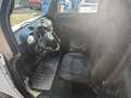 Microcar Flex Transporter mit Mopedauto Zulassung mit Garantie! Blanc - thumbnail 12