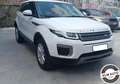 Land Rover Range Rover Evoque 2.0 TD4 aut euro 6 SE Navi Visibile in sede Bianco - thumbnail 8