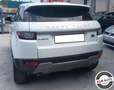 Land Rover Range Rover Evoque 2.0 TD4 aut euro 6 SE Navi Visibile in sede Bianco - thumbnail 12