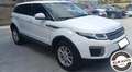 Land Rover Range Rover Evoque 2.0 TD4 aut euro 6 SE Navi Visibile in sede Bianco - thumbnail 9