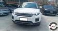 Land Rover Range Rover Evoque 2.0 TD4 aut euro 6 SE Navi Visibile in sede Bianco - thumbnail 1