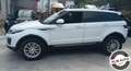 Land Rover Range Rover Evoque 2.0 TD4 aut euro 6 SE Navi Visibile in sede Bianco - thumbnail 3