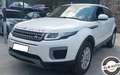 Land Rover Range Rover Evoque 2.0 TD4 aut euro 6 SE Navi Visibile in sede Bianco - thumbnail 2