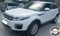Land Rover Range Rover Evoque 2.0 TD4 aut euro 6 SE Navi Visibile in sede Bianco - thumbnail 10