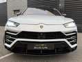 Lamborghini Urus Urus 4.0 V8 650 ch BVA8 Blanc - thumbnail 1