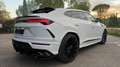 Lamborghini Urus Urus 4.0 V8 650 ch BVA8 Blanc - thumbnail 2