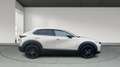 Mazda CX-30 2024 2.0 e-SKYACTIV-G MHEV 150CV 6MT FWD HOMURA Beige - thumbnail 6
