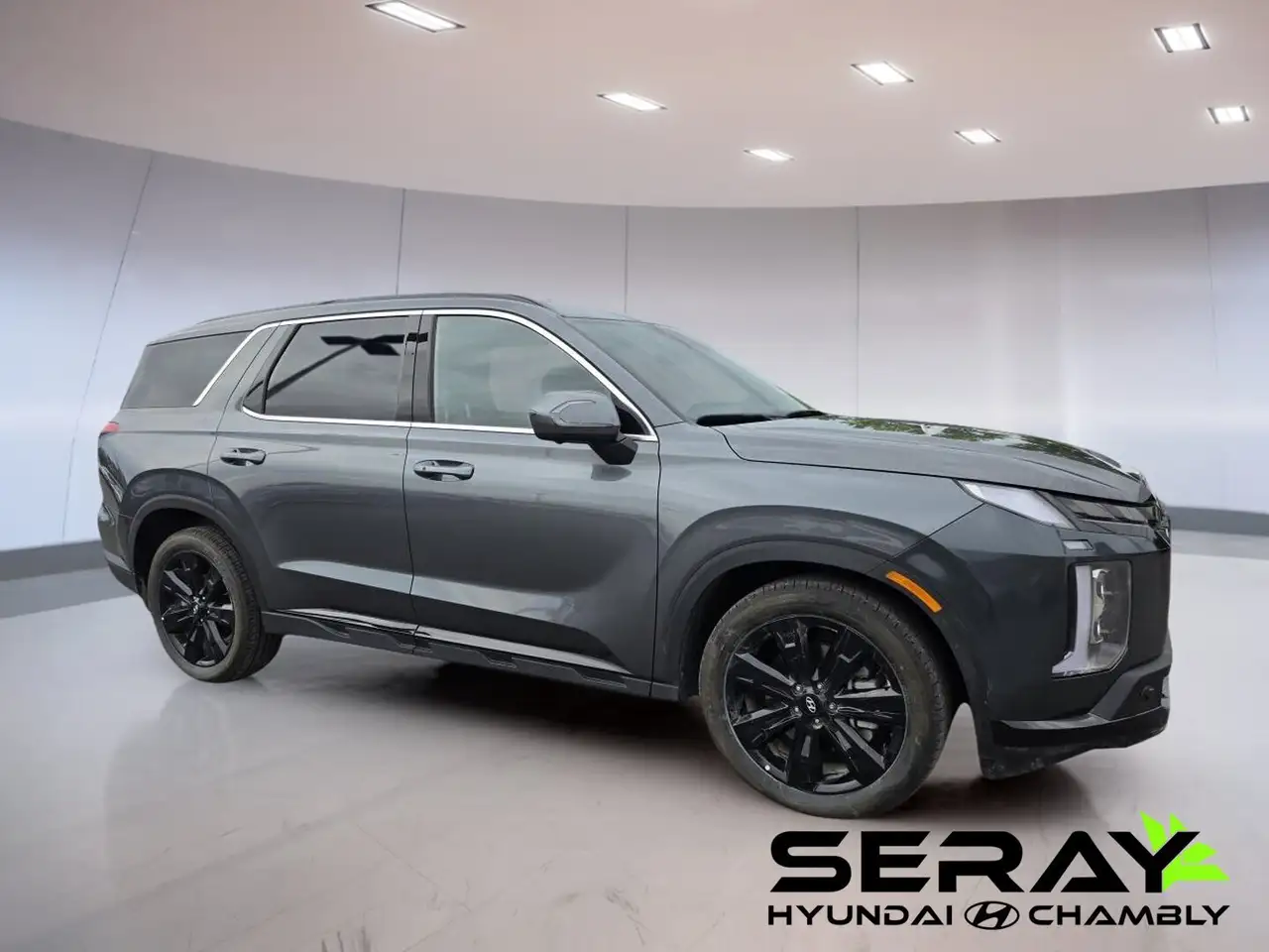 Hyundai PALISADE photo Hyundai PALISADE