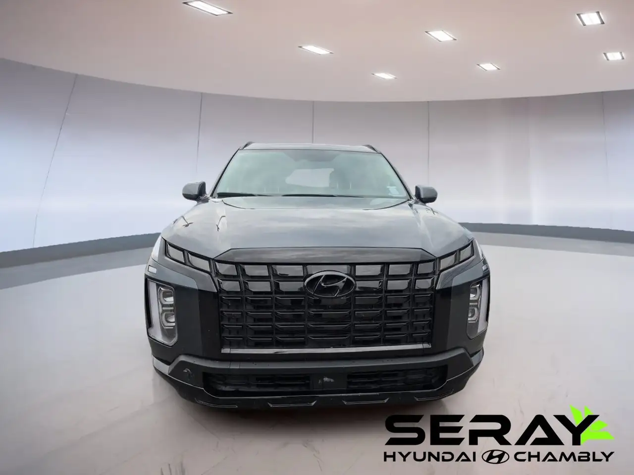 Hyundai PALISADE photo Hyundai PALISADE