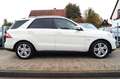 Mercedes-Benz ML 350 CDI BlueTec 4Matic 7G-Tronic Sportpaket Weiß - thumbnail 5