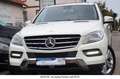 Mercedes-Benz ML 350 CDI BlueTec 4Matic 7G-Tronic Sportpaket Weiß - thumbnail 1