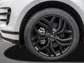 Land Rover Range Rover Evoque D165 Dynamic SE Weiß - thumbnail 6