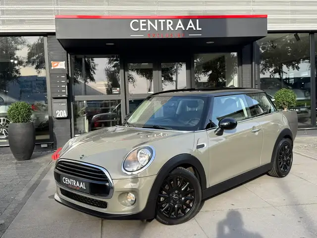 MINI Mini