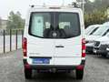 Volkswagen Crafter CRAFTER L1H1 AHK REGALSYSTEM VON BOTT DACHTRÄGER Weiß - thumbnail 9